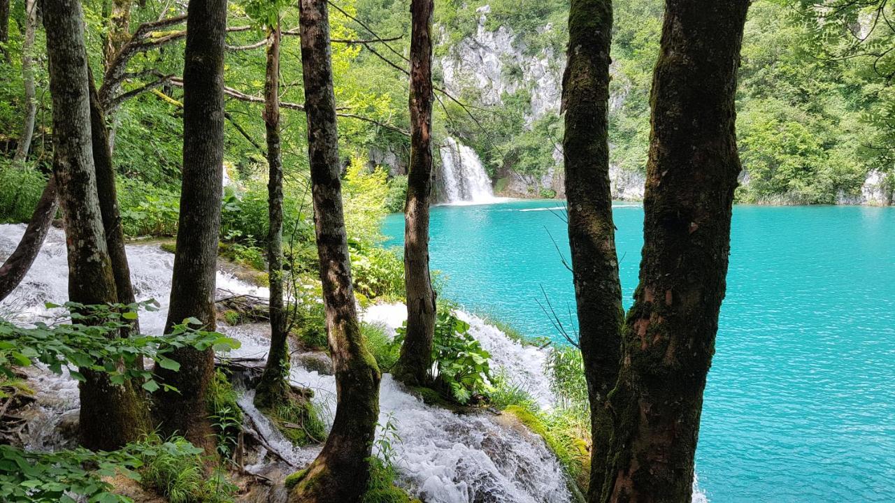 B&B Plitvica Villa Prica Plitvicka Jezera Exterior foto